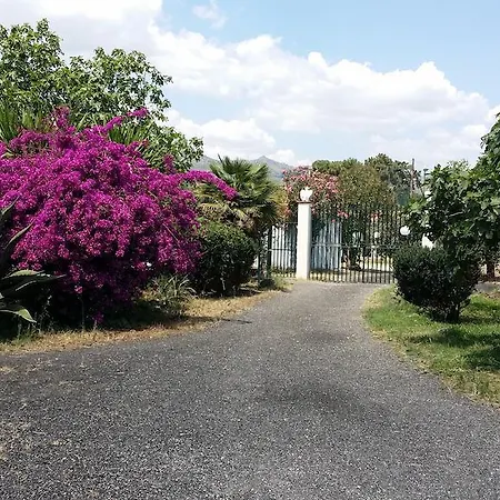 Hibiscus Appartamento *