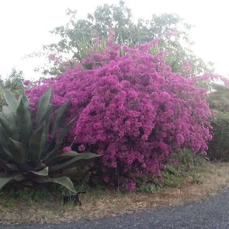 Appartamento Hibiscus Giardini Naxos